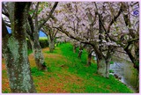 DSCF1391
