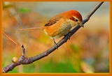 DSCN1762