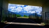 DSCF9931
