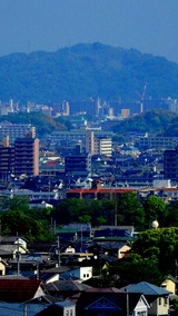 DSCN0053