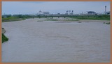 DSCF5254