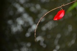 00A_5675