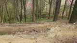 IMGP2192
