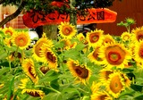 DSCN1206