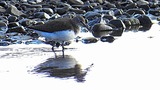 DSCN7513