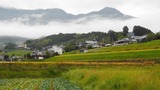 DSCN2471