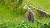 DSCN2320