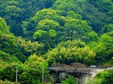DSCN9635