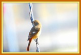 DSCN2117