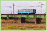 DSCF3734