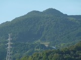 pana 001_800