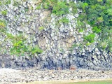 DSCN9617
