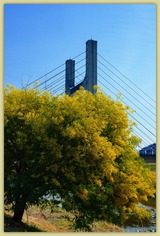DSCF1196