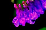 00A_7019