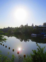 IMG_2147