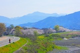 DSCN5219