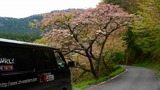 DSCN9938