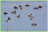 DSCF8722