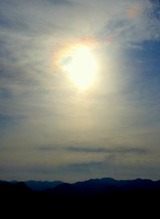 DSCN7544
