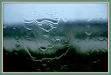 DSCF5528