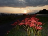 pana 004_800