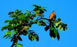 DSCN0042