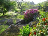 DSCN9010