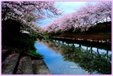 DSCF1366