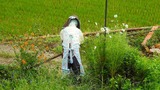 DSCN2325