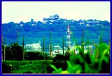 DSCN4769