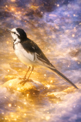 ChatGPT Image 2026年2月1日 16_15_47