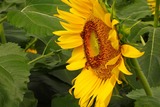 DSCN1200