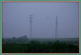 DSCF5529