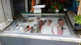 DSCN0089