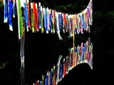DSCN9744