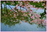 DSCF1379