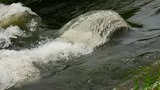 DSCN0285