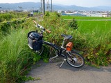 DSCF2316