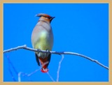 DSCN2259