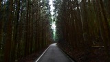 DSCN9972
