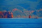 DSCF0503