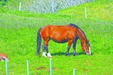 DSCN9740