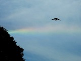 DSCN9594