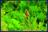 DSCN4790