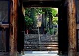 DSCN9666