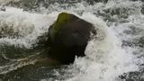 DSCN0277