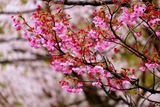 DSCF1182