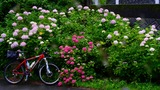 DSCN0263