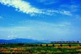 DSCF1421