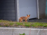 DSCF0472